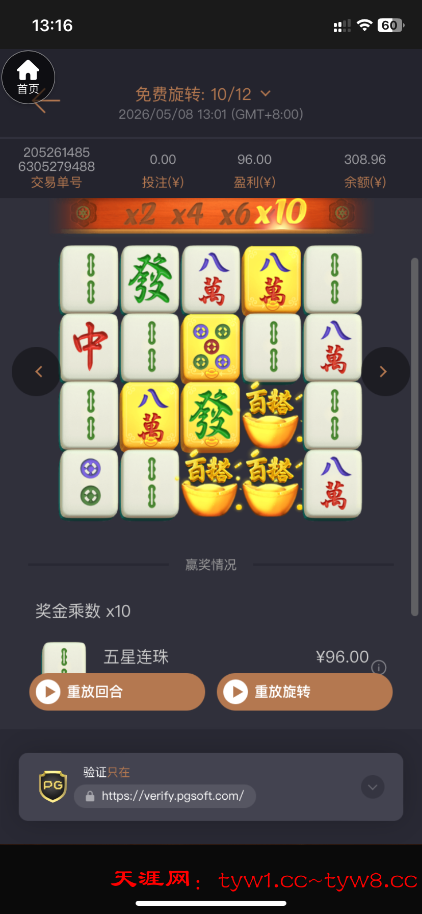 IMG_9428.png